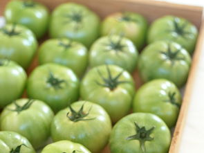 水果特写 从鲜美图库到生活灵感