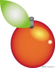 水果的缤纷世界 从图鉴到餐桌的绿色健康之旅